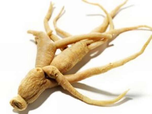 Root ženšenu