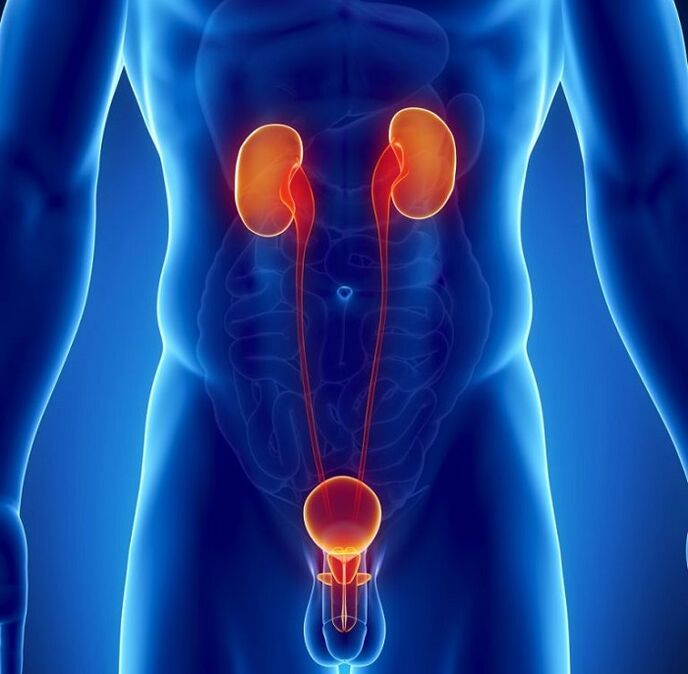 jaká chronická onemocnění mohou ovlivnit mužskou potenci